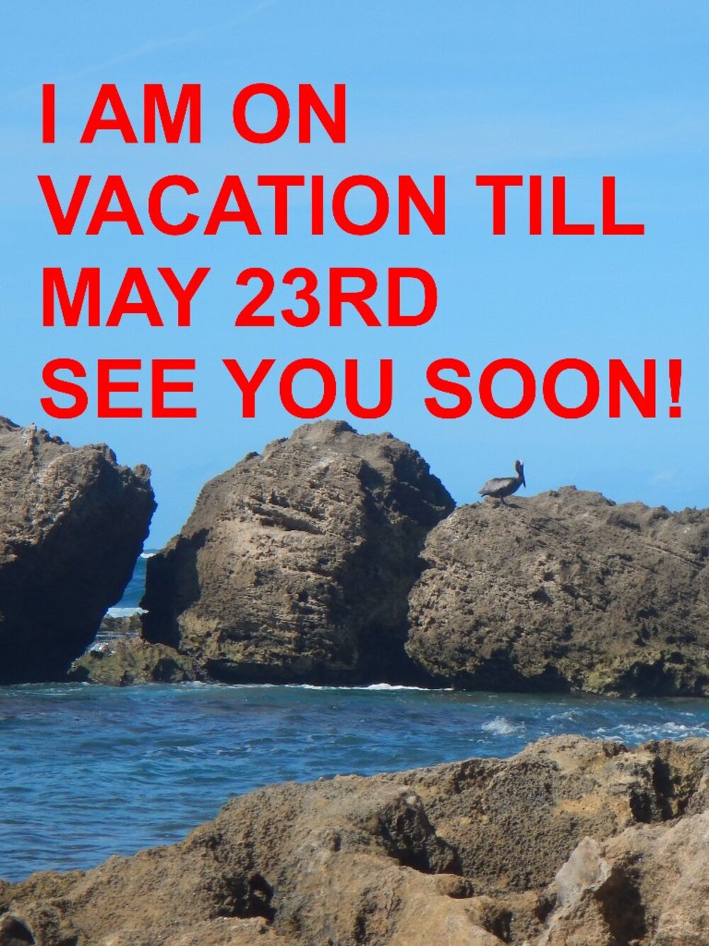 VACATION